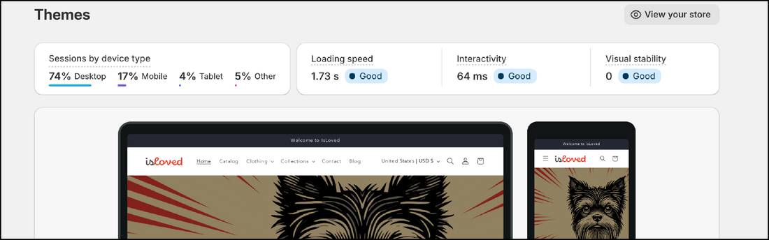Screen of shopify dashboard
