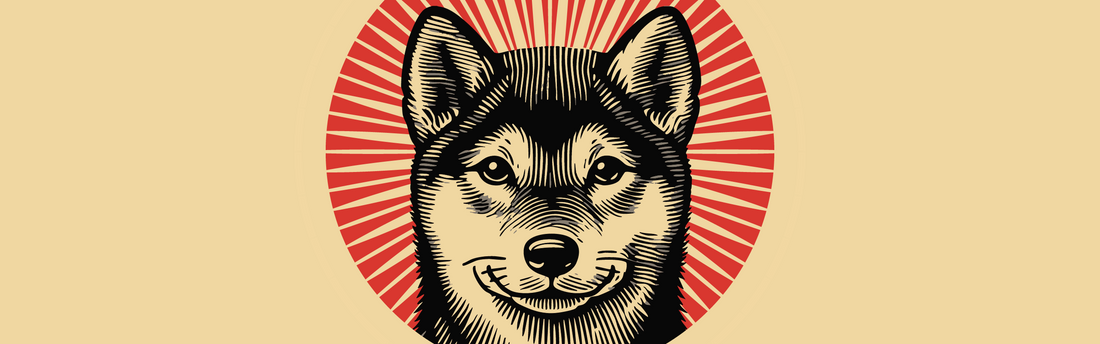 Day 21: Creating Video Content, Wearing All the Hats, and Not Forgetting the Shiba Inu
