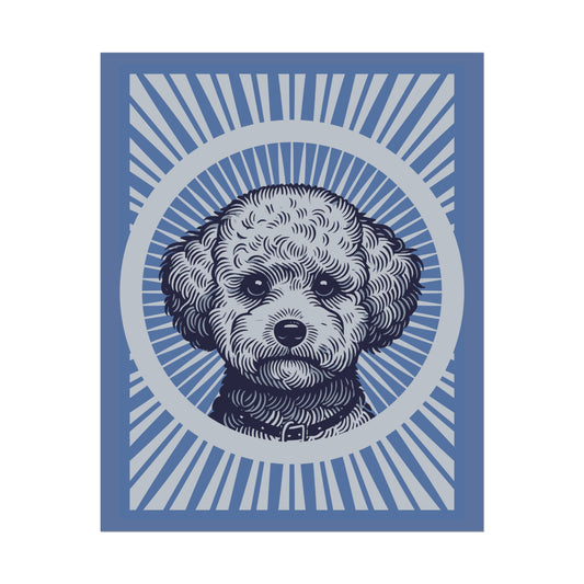 Bichon Frise Art Print
