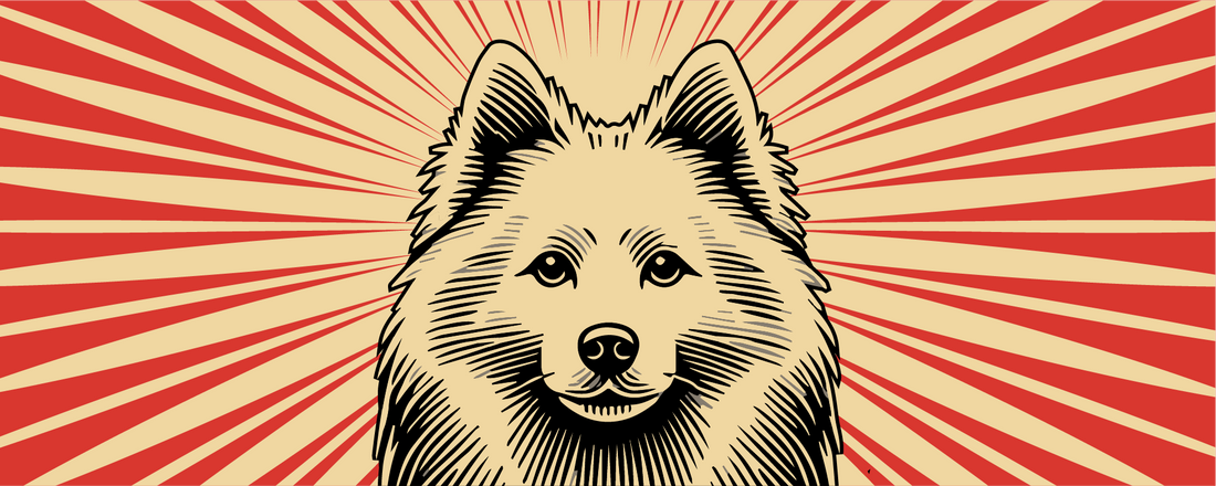 American Eskimo Dog