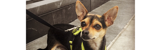 Day 12: Testing Ads on Instagram – Because We’re All Just Guessing Until We Aren’t