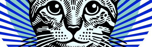 Day 19: Creating a new Collection