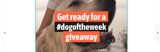 Day 13: Slow Growth and Our First Contest!