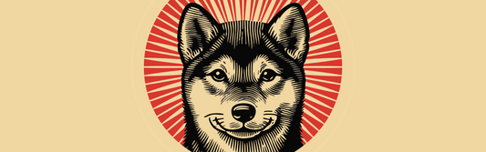 Day 21: Creating Video Content, Wearing All the Hats, and Not Forgetting the Shiba Inu