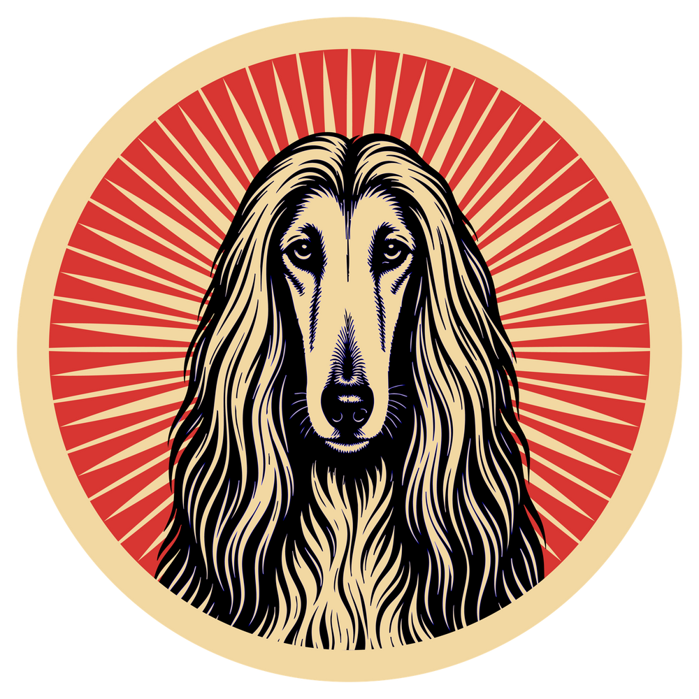 Afghan Hound