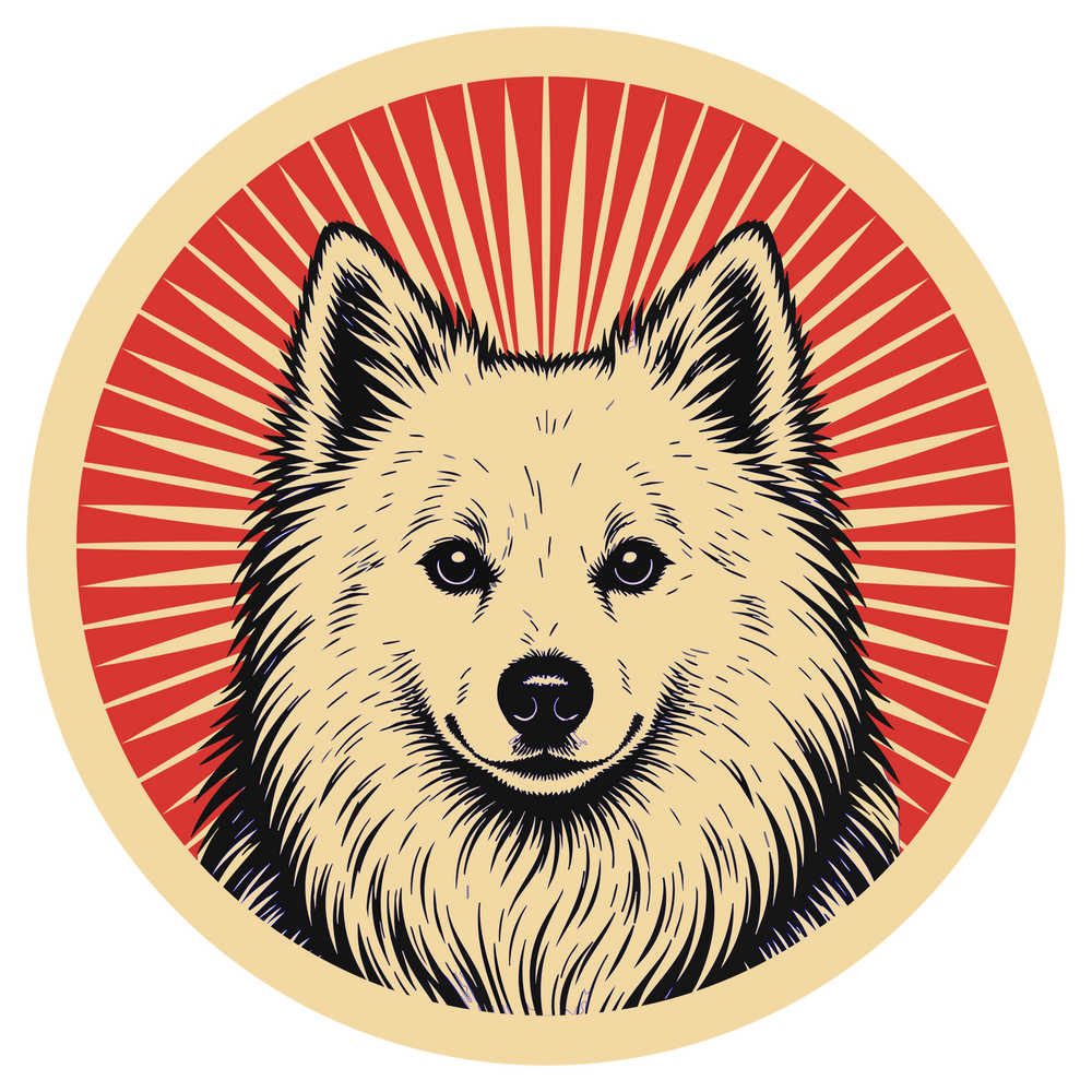 American Eskimo Dog