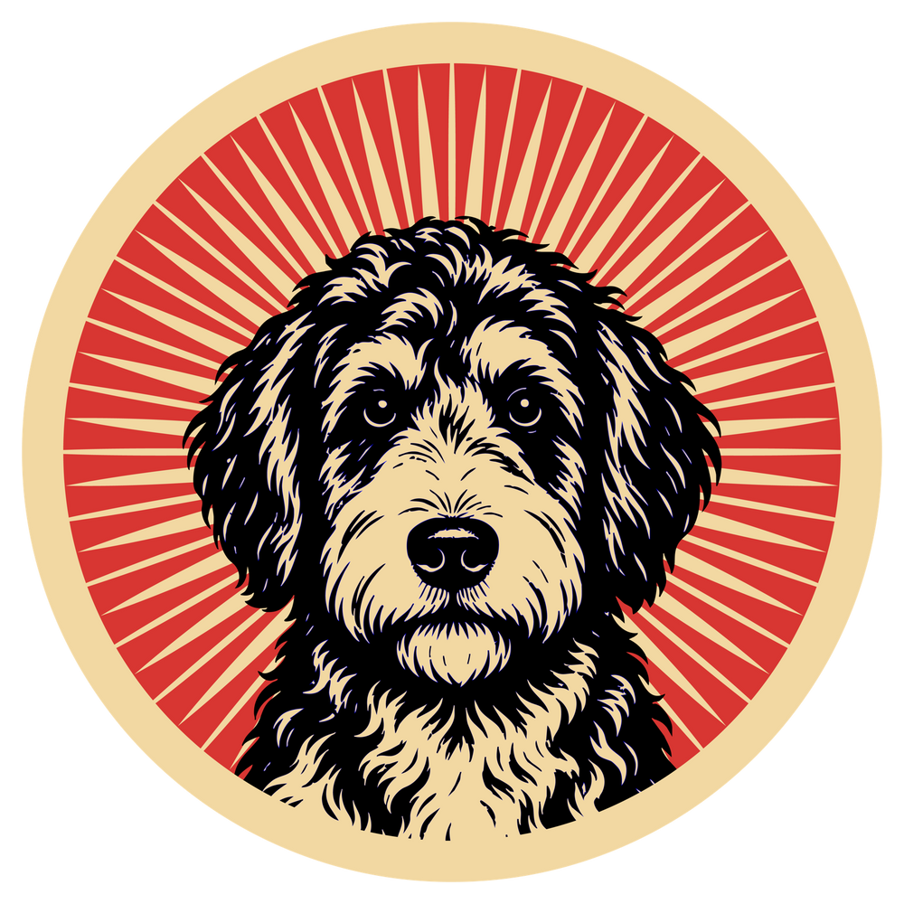 Aussiedoodle