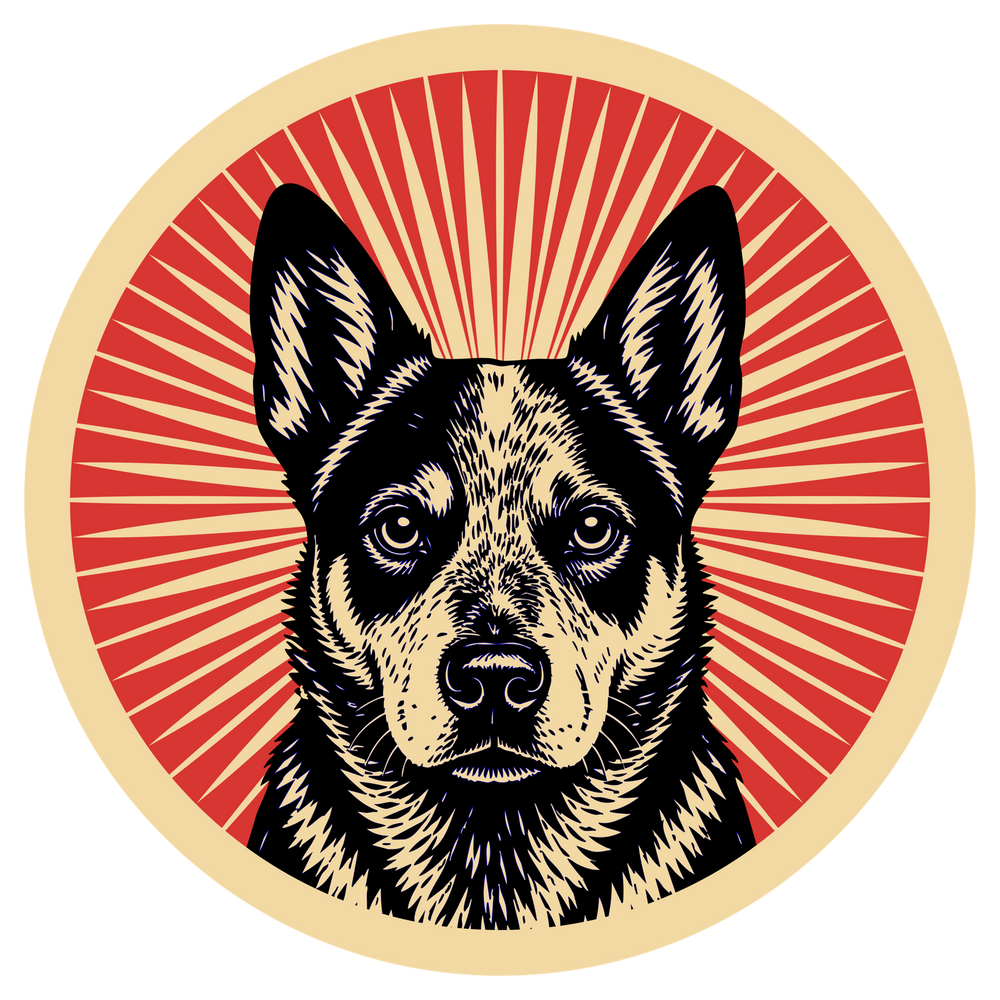 Australian Cattle Dog