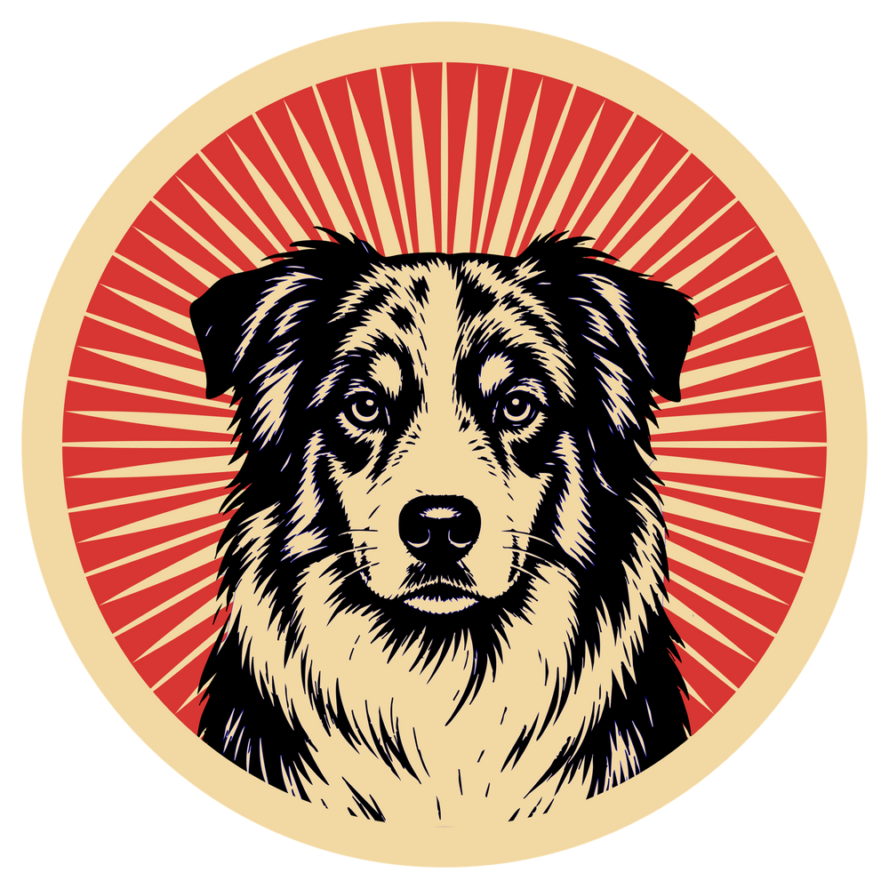 Australian Shepherd