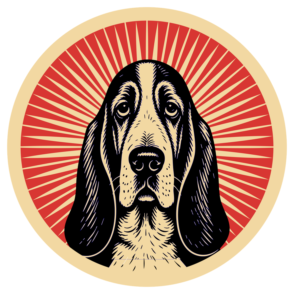 Basset Hound