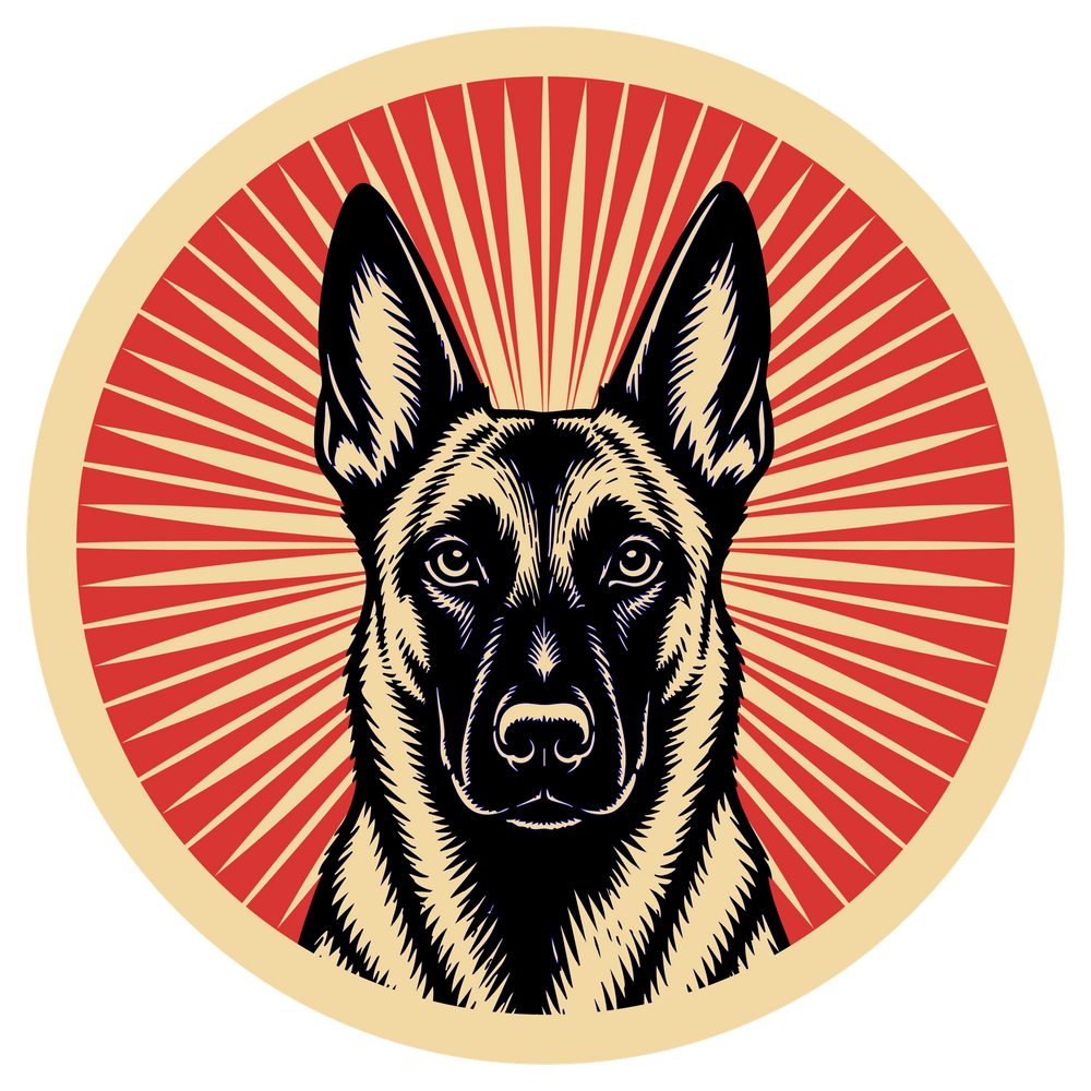 Belgian Malinois