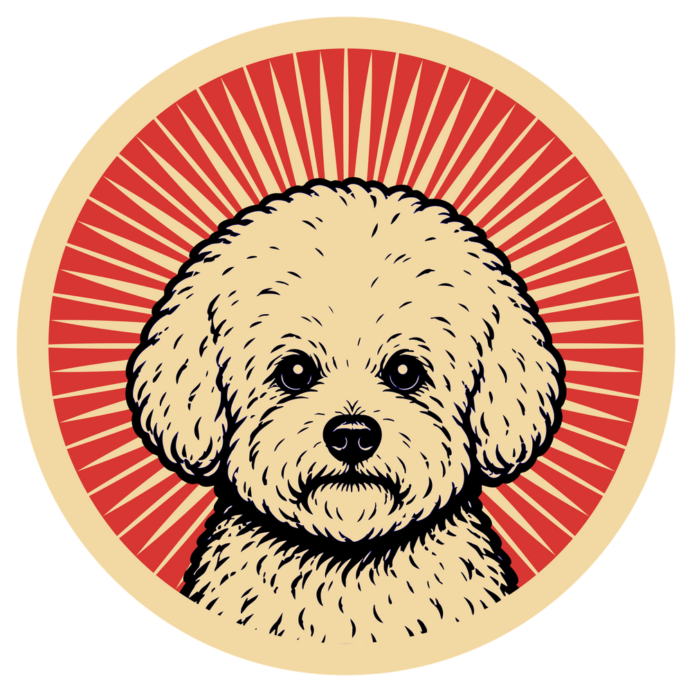 Bichon Frise