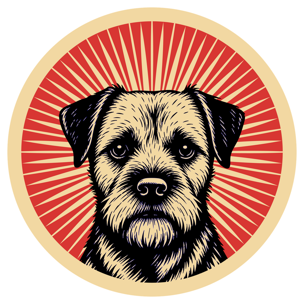 Border Terrier