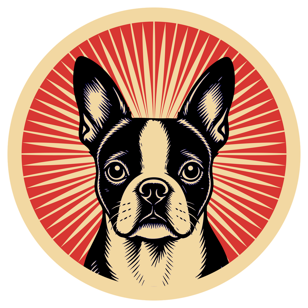 Boston Terrier