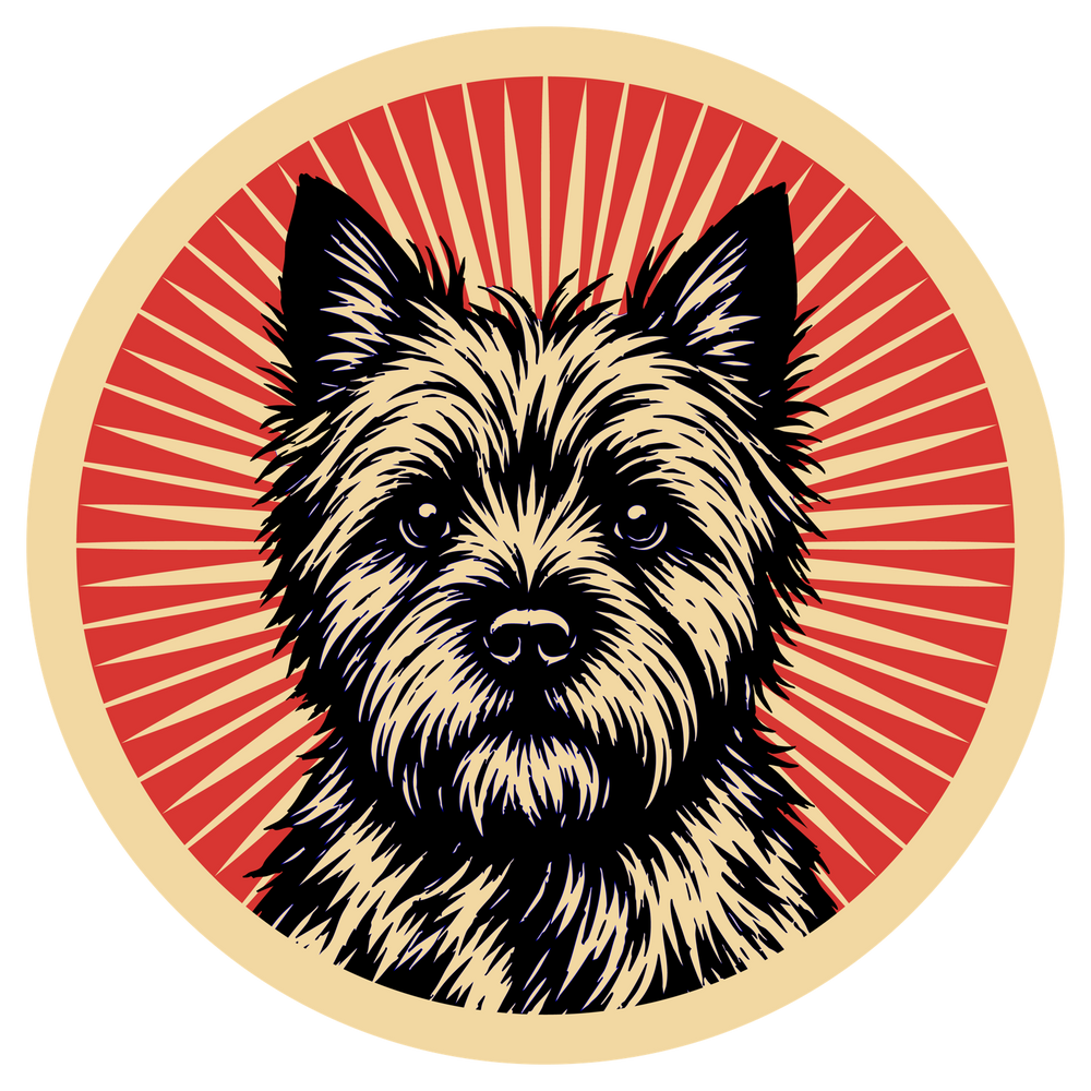 Cairn Terrier