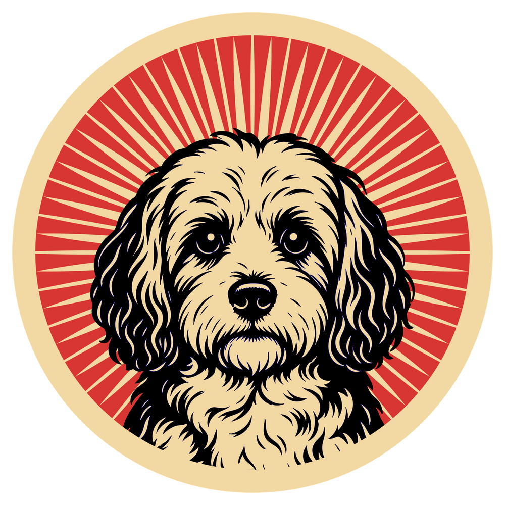 Cavachon