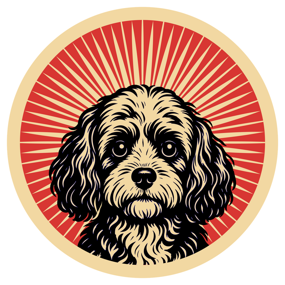 Cavapoo