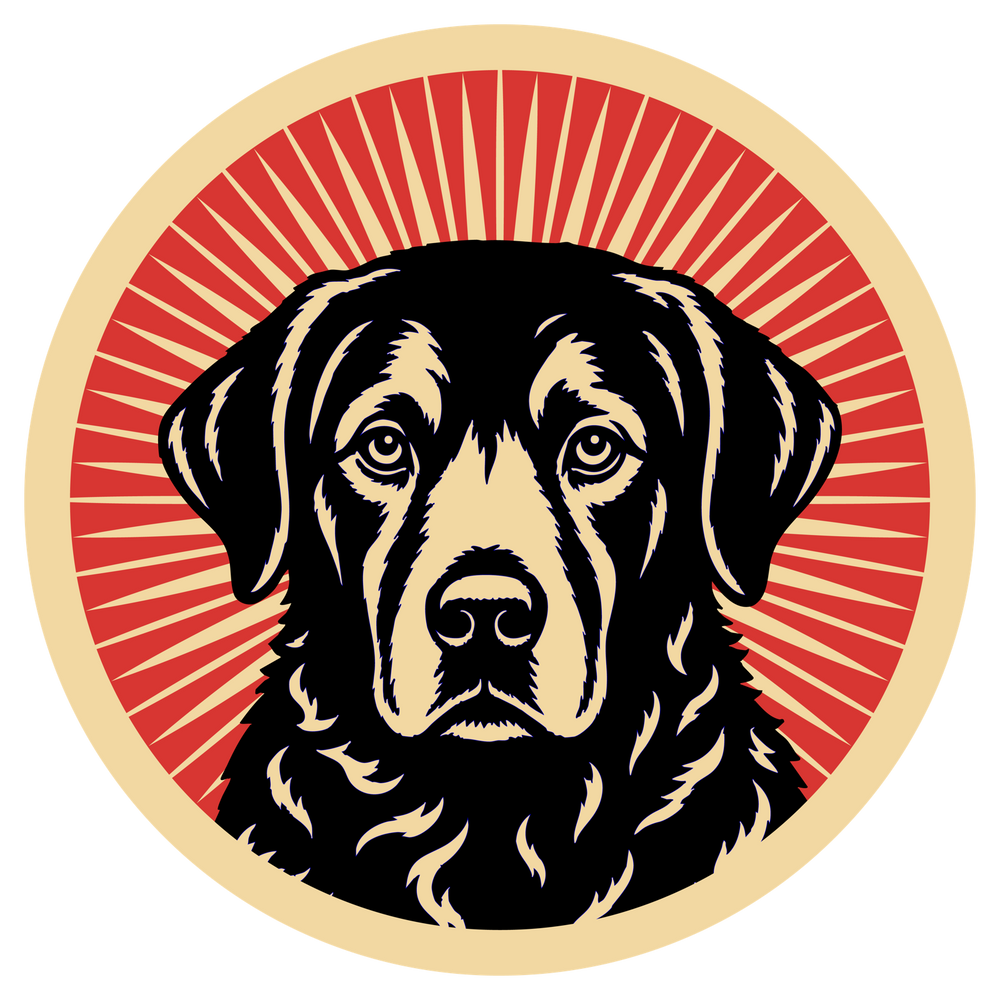 Chesapeake Bay Retriever