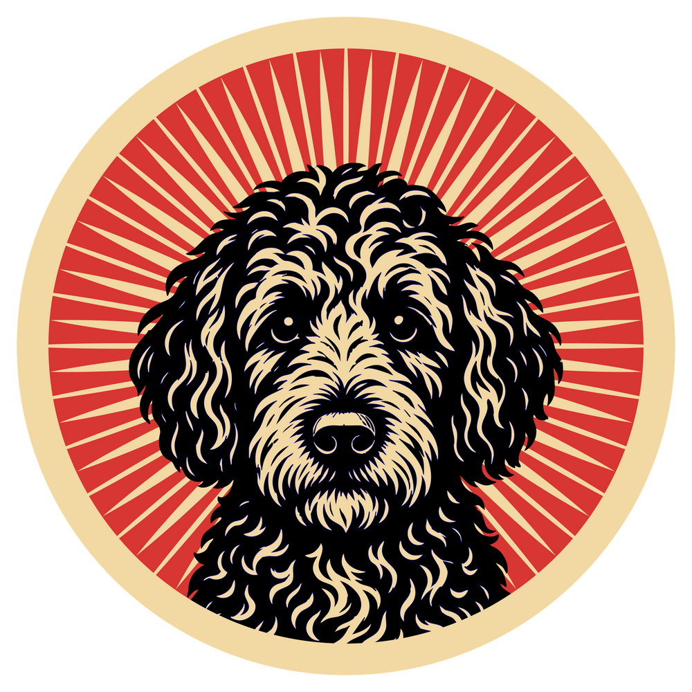 Cockapoo