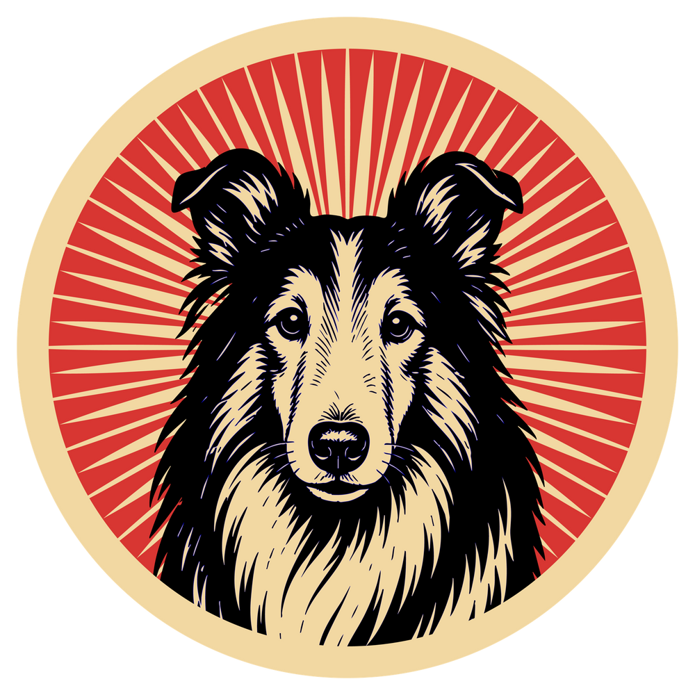 Collie