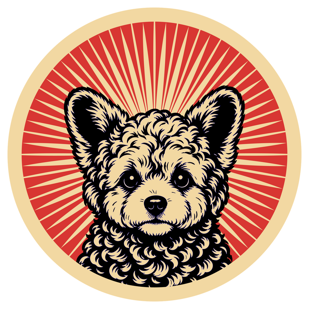 Corgipoo