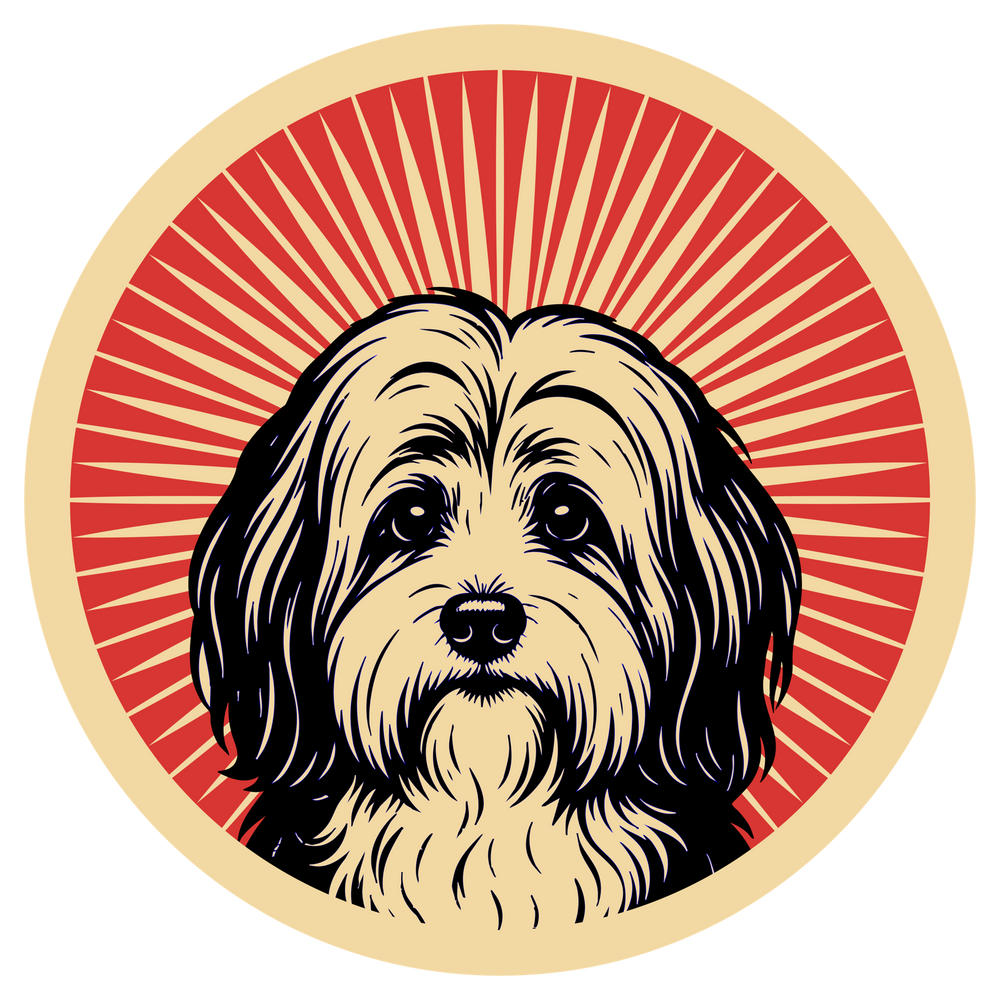 Havanese
