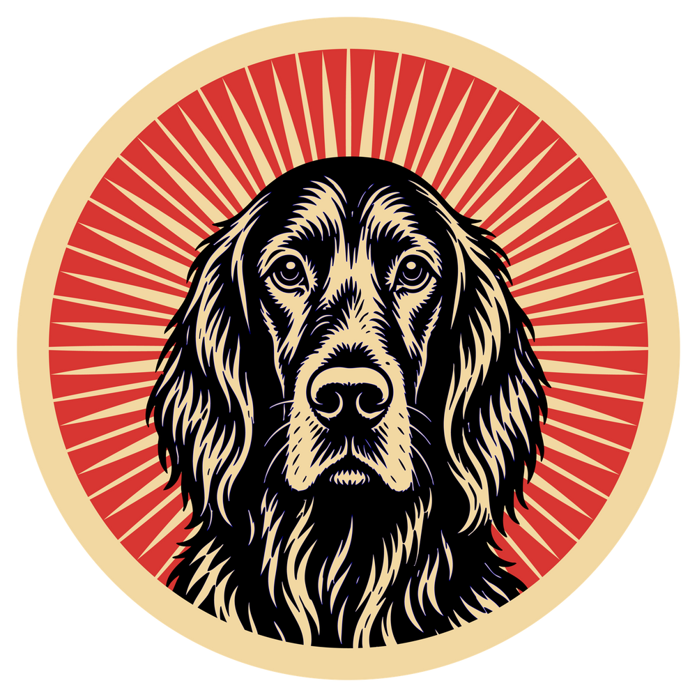 Irish Setter