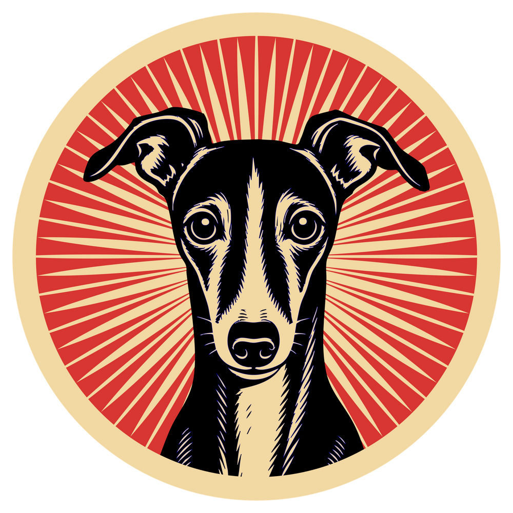 Italian Greyhound