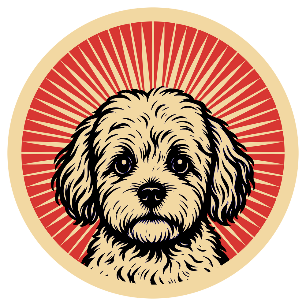 Maltipoo