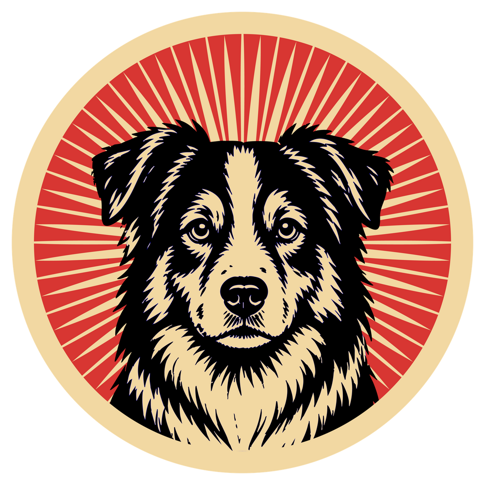 Miniature American Shepherd