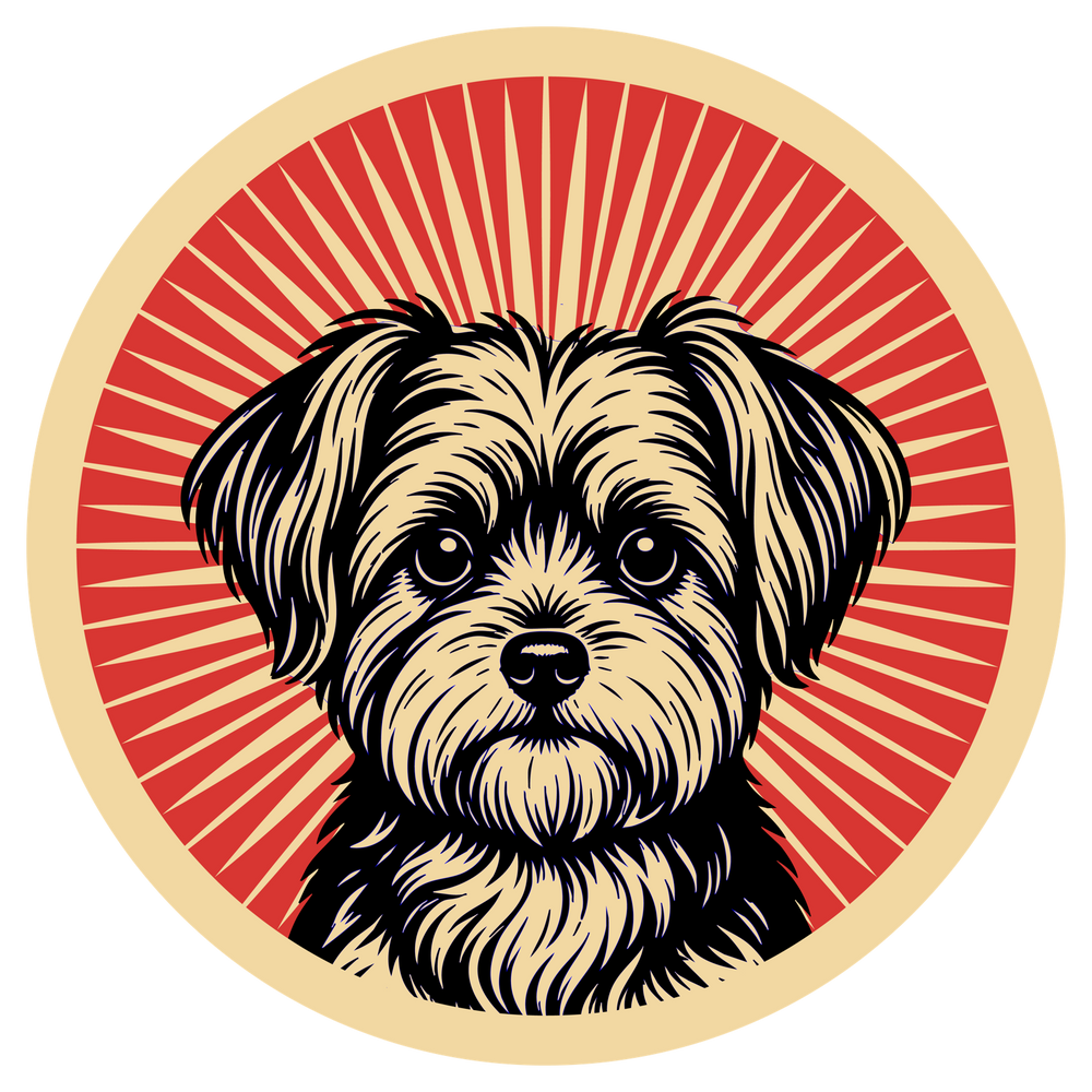 Morkie