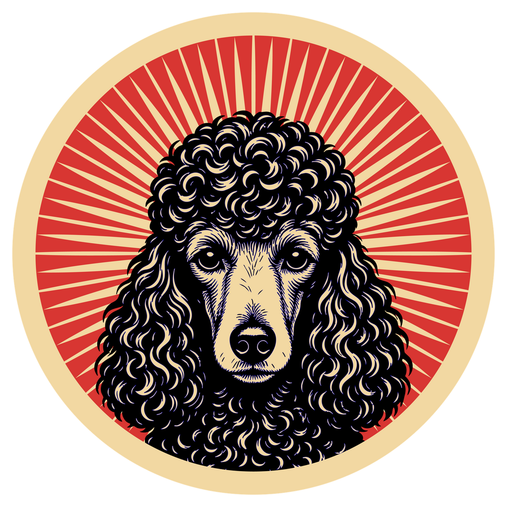Poodle