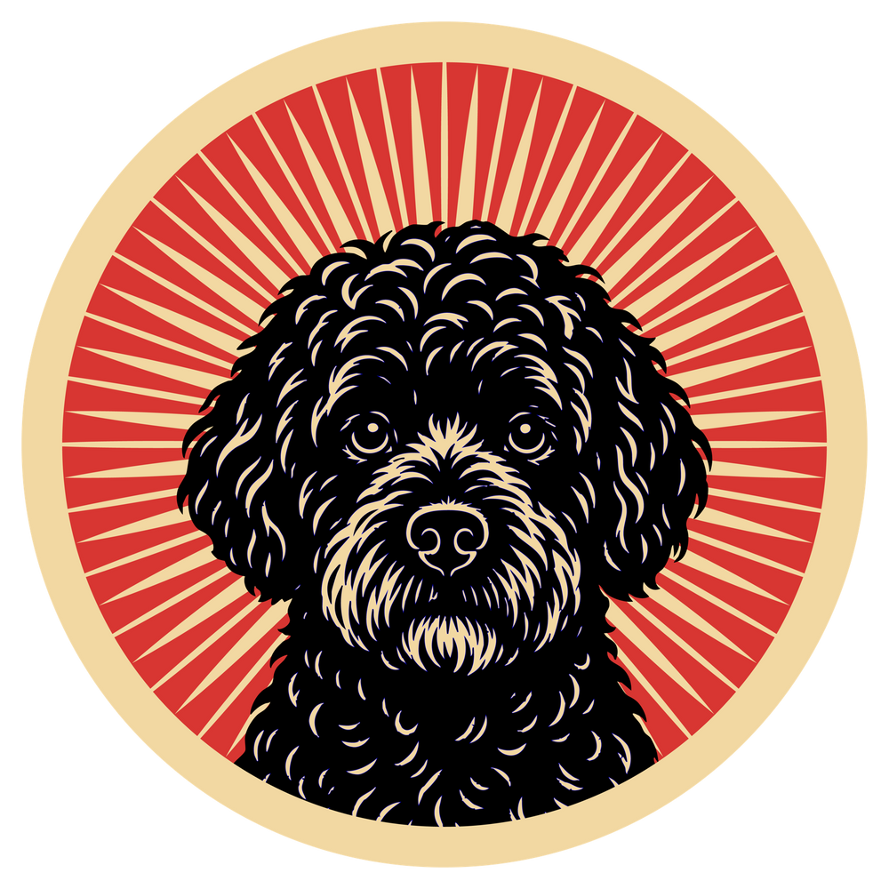 Portuguese Water Dog