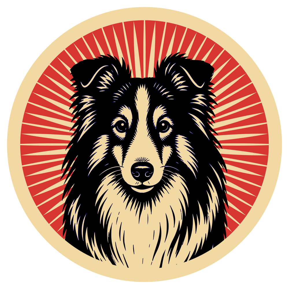 Shetland Sheepdog