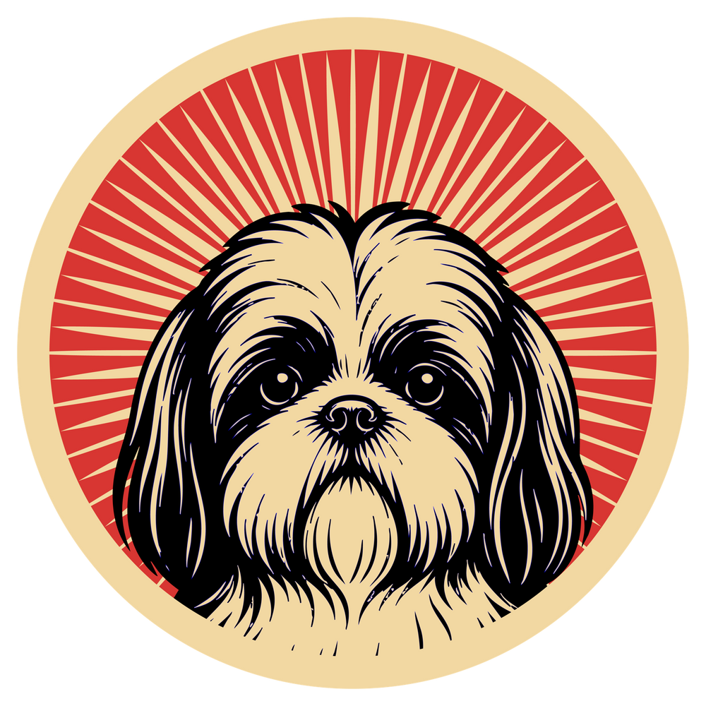 Shih Tzu