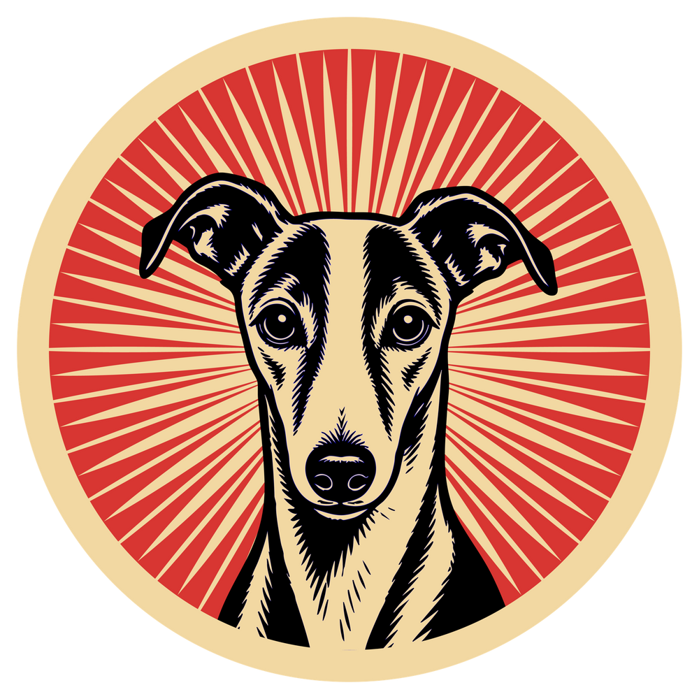 Whippet