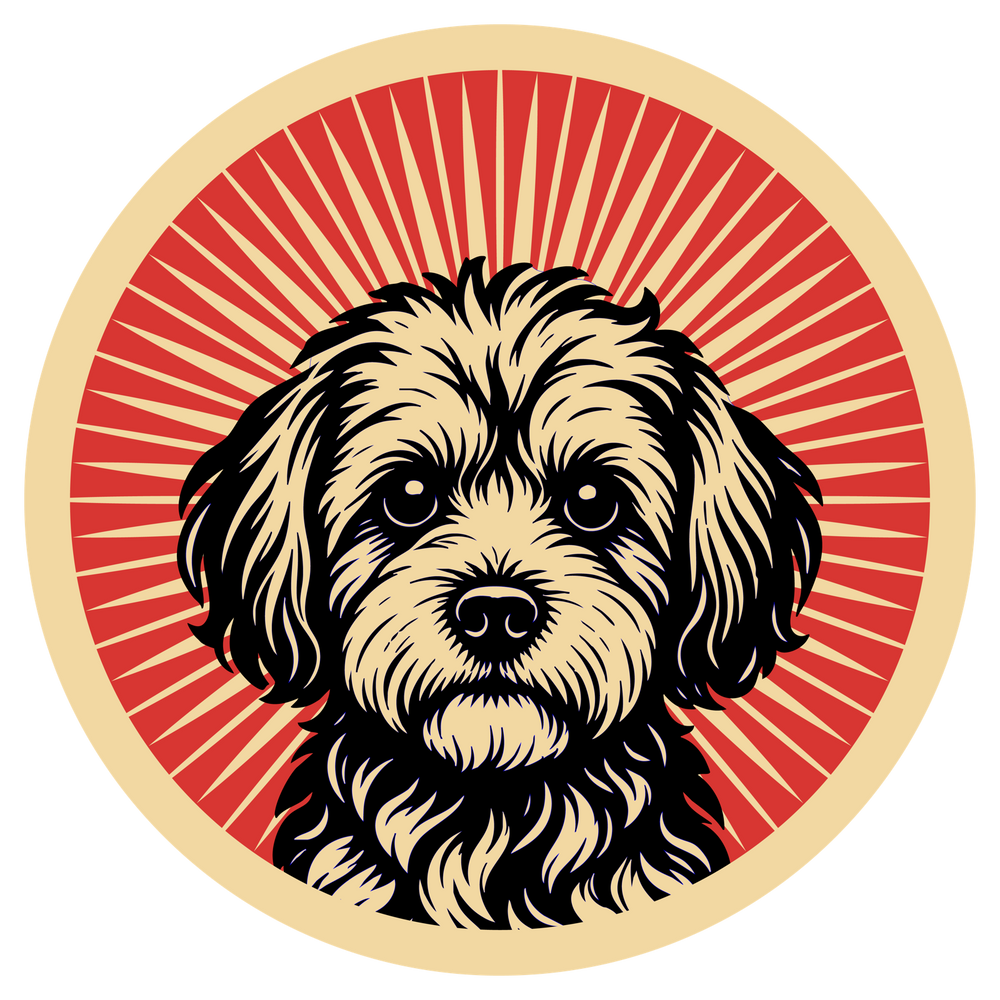 Yorkipoo