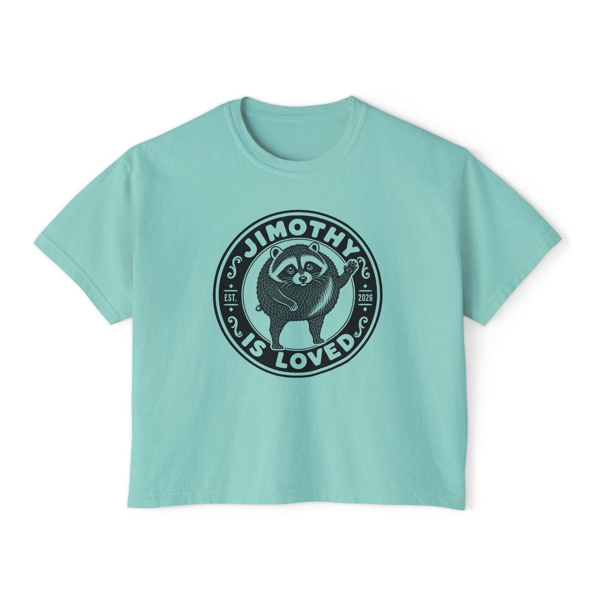 Jimothy the Round Raccoon Boxy Tee — Chalky Mint