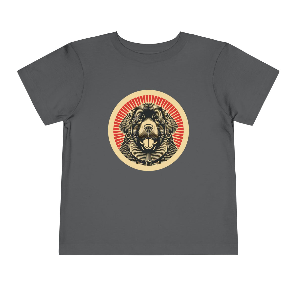 Newfoundland Toddler Tee — Asphalt