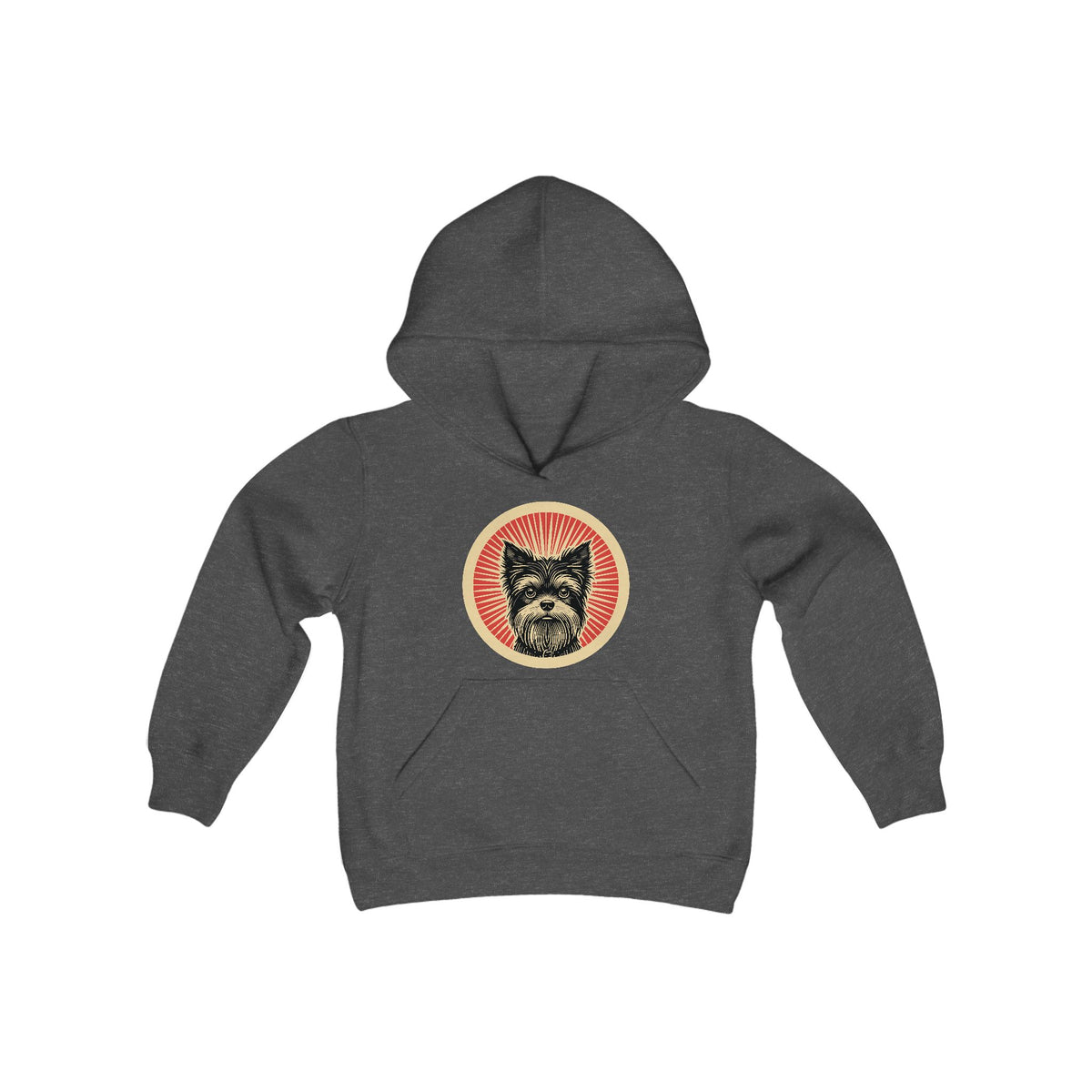 Affenpinscher badge art in a ring of red rays on a kids' hoodie