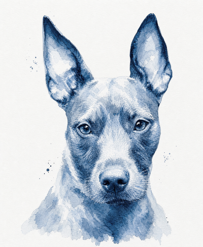 Watercolor